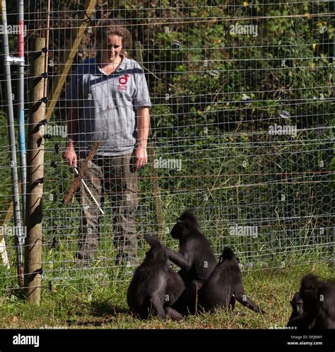 durrell wildlife conservation trust.